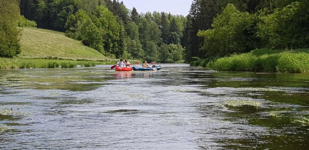Ferienwohnung Wildgatter Grafenwiesen エクステリア 写真