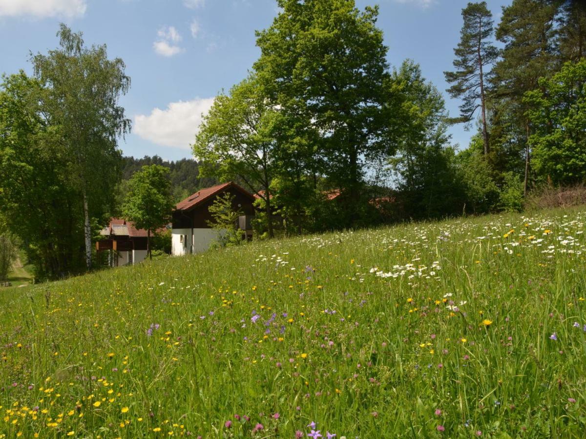 Ferienwohnung Wildgatter Grafenwiesen エクステリア 写真